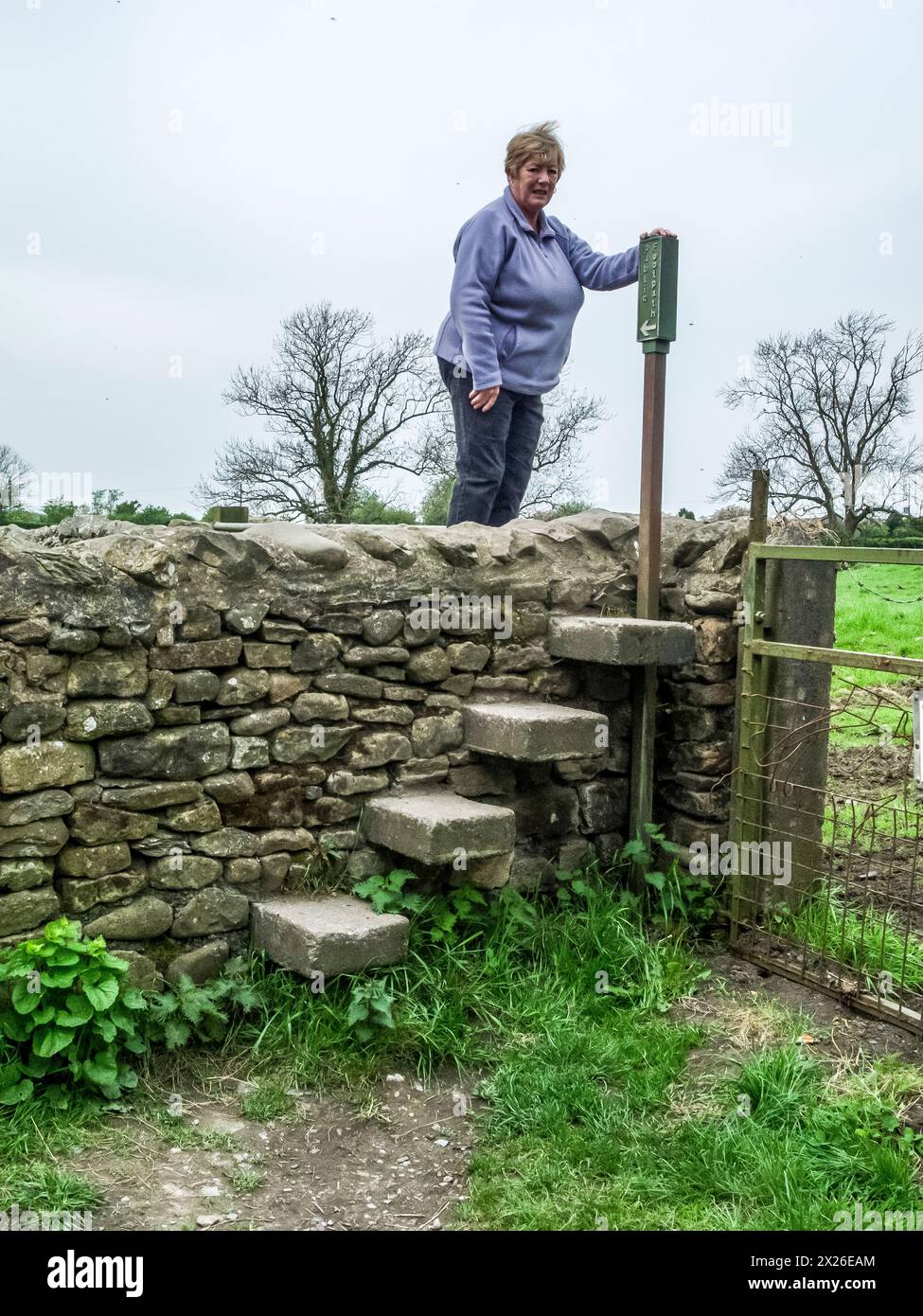 Exemple d'un vieux stilard mural à marches raisonnablement bon avec son poteau de marquage de chemin public d'origine Banque D'Images