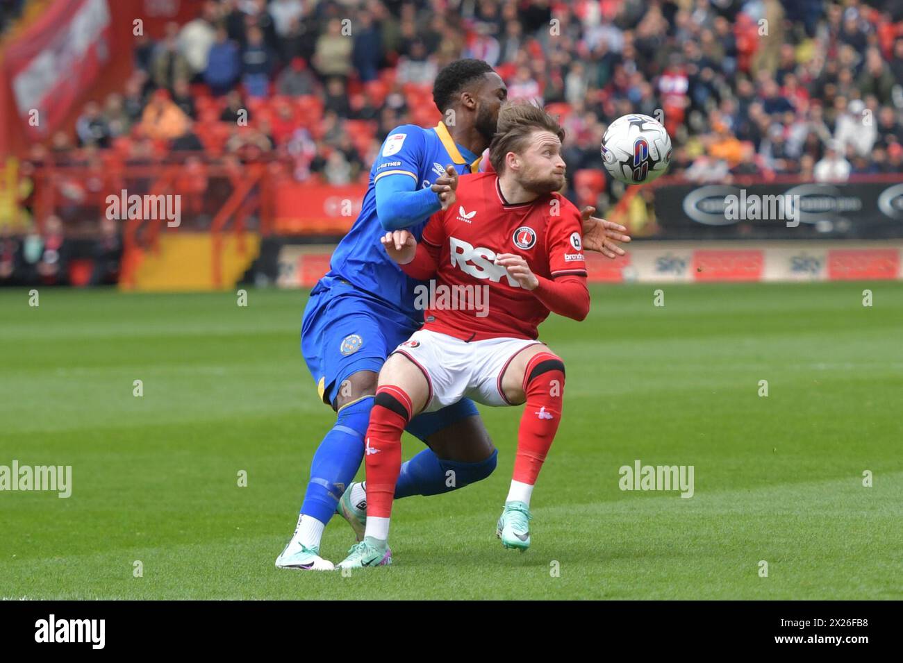 Londres, Angleterre. 20 avril 2024. Alfie May de Charlton Athletic et Cheyenne Dunkley de Shrewsbury Town se battent lors du match Sky Bet EFL League One entre Charlton Athletic et Shrewsbury Town. Kyle Andrews/Alamy Live News Banque D'Images