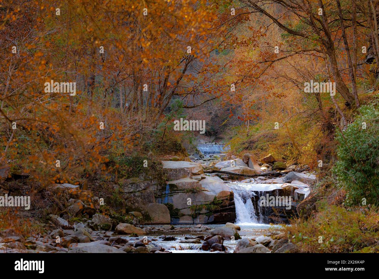 Automne dans les montagnes Qinling de la province de Shaanxi Banque D'Images