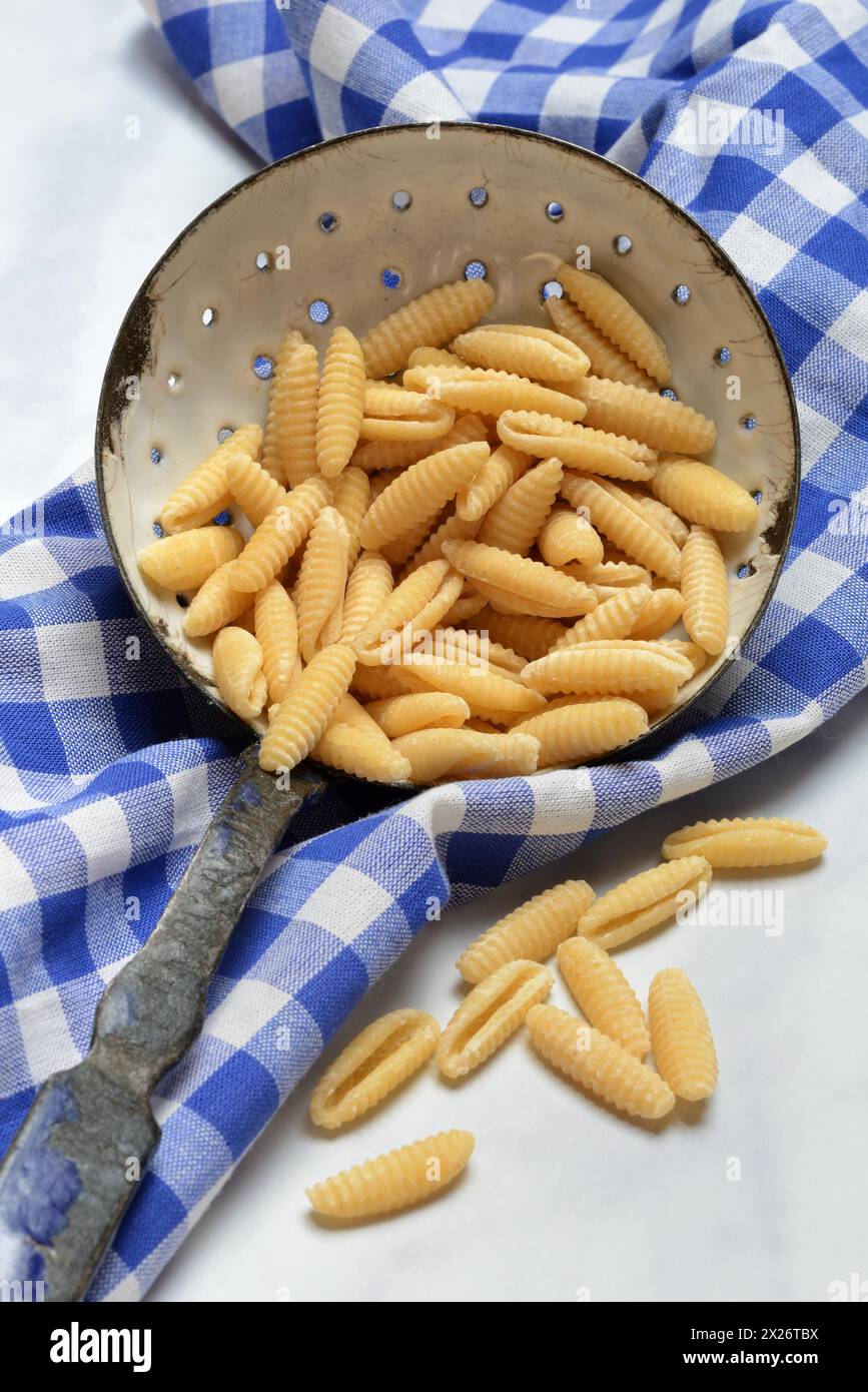 Malloreddus, gnocchettis sardes, variété traditionnelle de pâtes de Sardaigne, Italie Banque D'Images