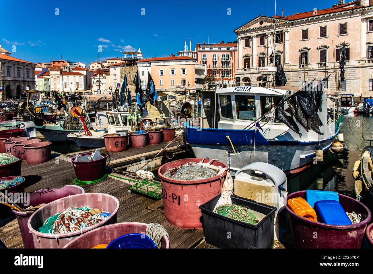 Bassin portuaire avec port de pêche, ville portuaire de Piran sur la côte adriatique avec flair vénitien, Slovénie, Piran, Slovénie Banque D'Images