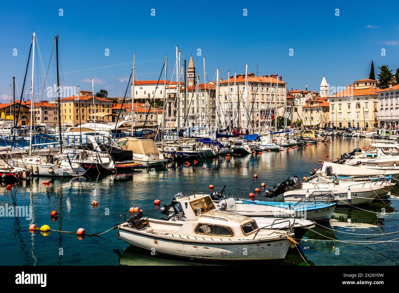 Bassin portuaire, ville portuaire de Piran sur la côte adriatique avec une touche vénitienne, Slovénie, Piran, Slovénie Banque D'Images