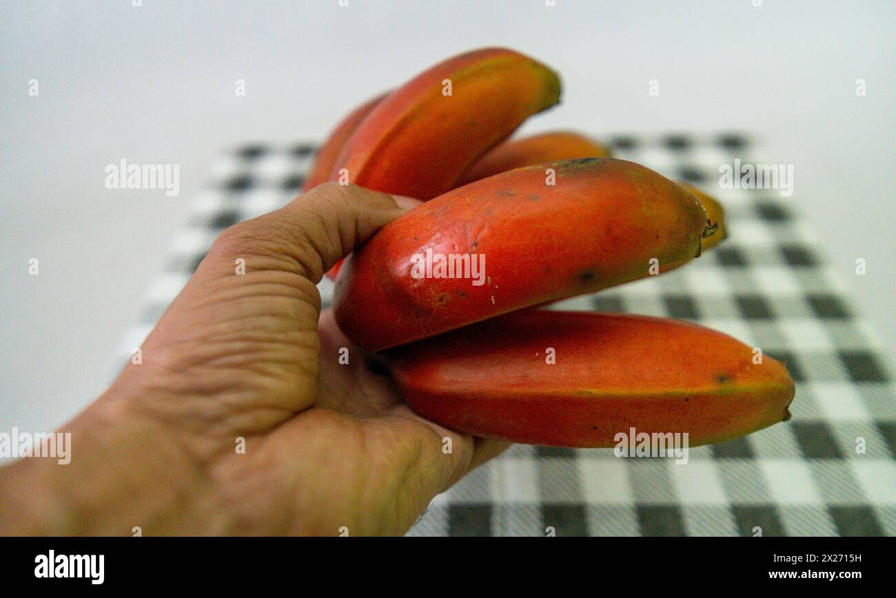 Fruit de banane rouge présent dans une grande partie du territoire brésilien Banque D'Images