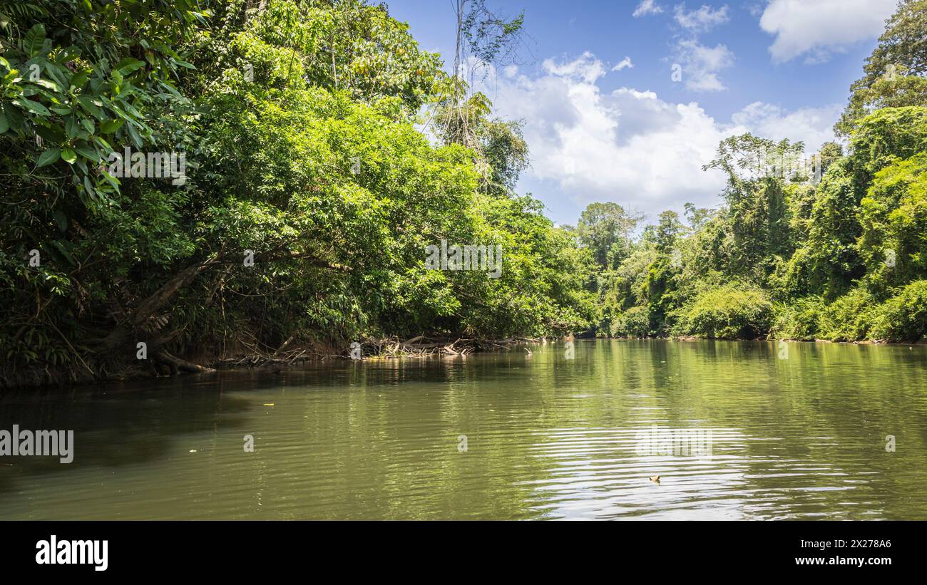 Vue panoramique de la rivière San Juan également connu sous le nom El Desaguadero à la frontière du Costa Rica et du Nicaragua Banque D'Images