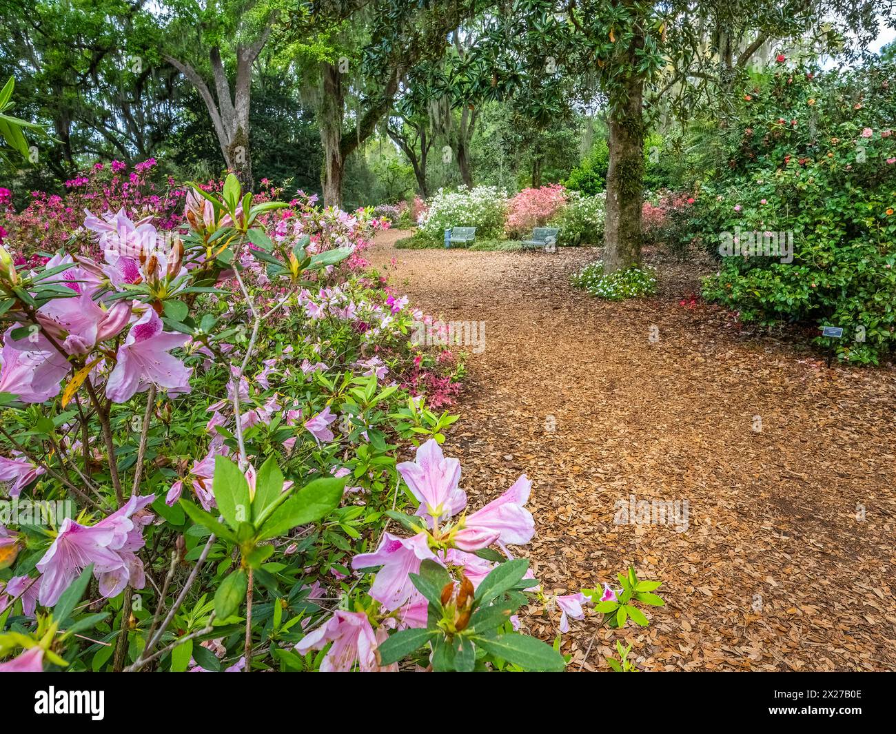 Bok Tower Gardens est un monument historique national sur le registre national des lieux historiques au sommet de Iron Mointain dans le lac de Galles Floride États-Unis Banque D'Images