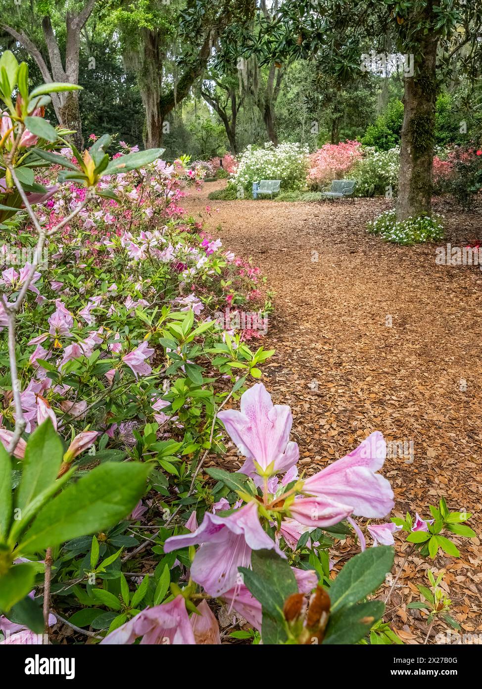 Bok Tower Gardens est un monument historique national sur le registre national des lieux historiques au sommet de Iron Mointain dans le lac de Galles Floride États-Unis Banque D'Images