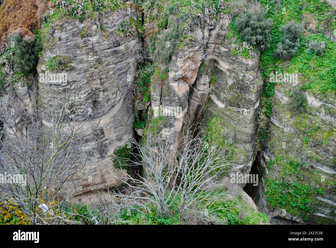 Canyon El Tajo dans la Ronda d'Ernest Hemingway en Andalousie dans le sud de l'Espagne Banque D'Images