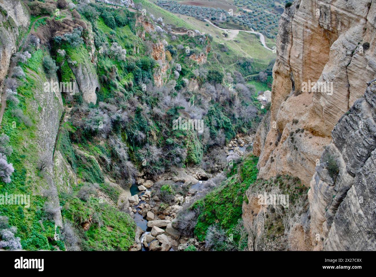 Canyon El Tajo dans la Ronda d'Ernest Hemingway en Andalousie dans le sud de l'Espagne Banque D'Images