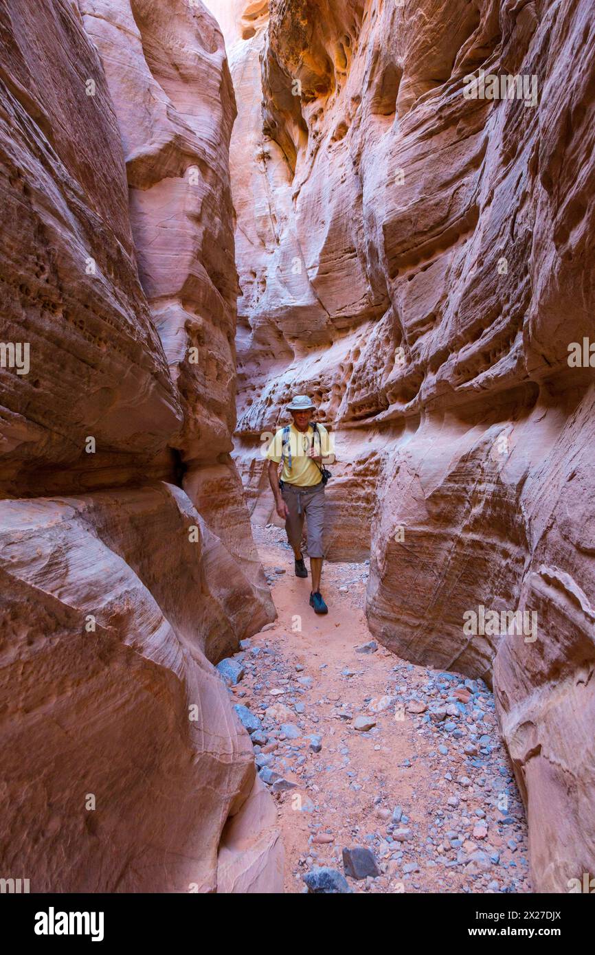 Valley of Fire, Nevada. Balades touristiques français à travers une fente Canyon sur les coupoles blanches Trail. Banque D'Images