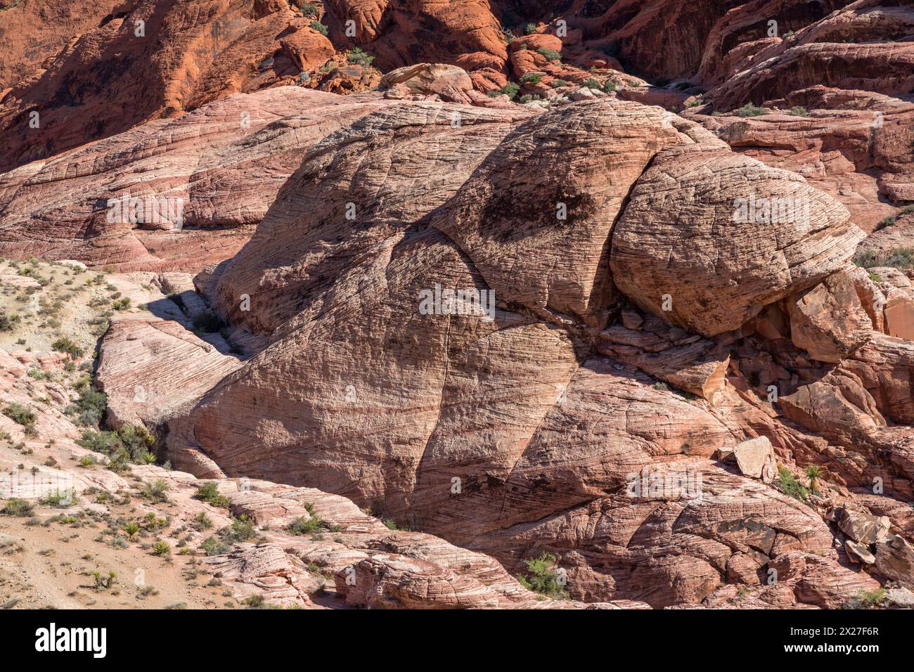 Red Rock Canyon, Nevada. Calico Hills Grès Aztèque contre-indiquant la litière d'anciennes dunes de sable. Banque D'Images