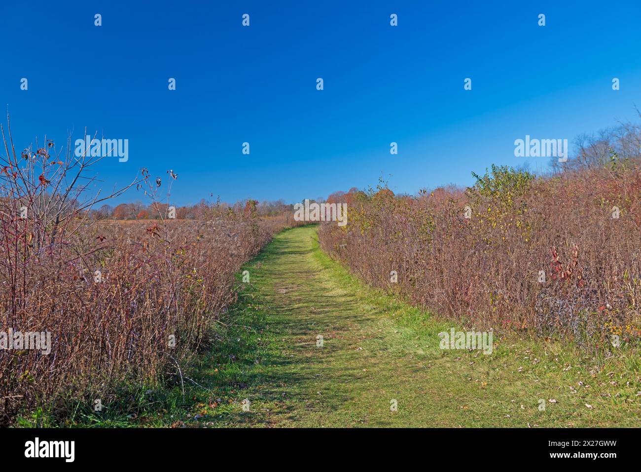 Chemin tranquille à travers la Prairie d'automne dans la réserve naturelle de Crabtree dans l'Illinois Banque D'Images