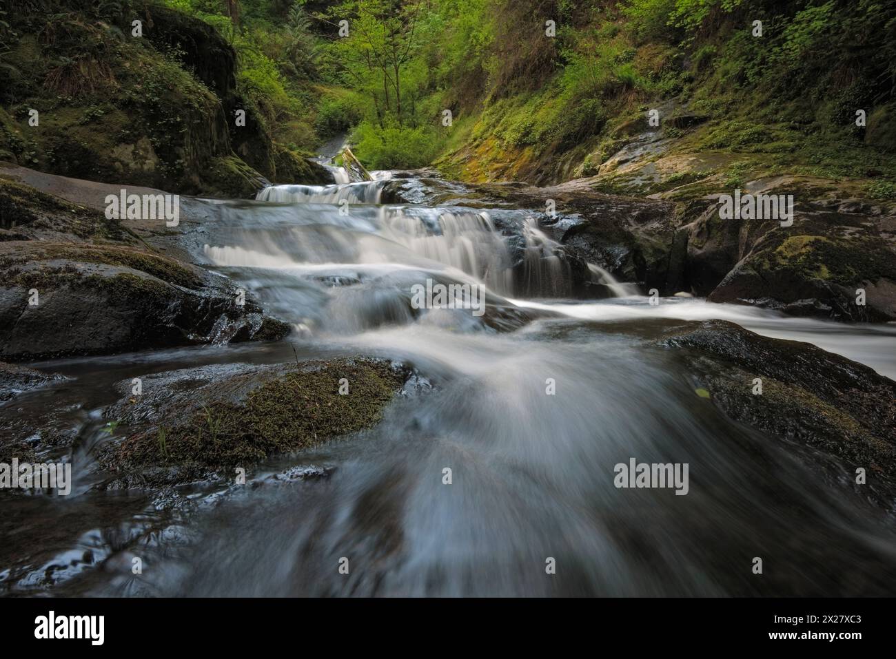 Cascades sur Sweet Creek dans les montagnes Coast Range de l'Oregon. Banque D'Images
