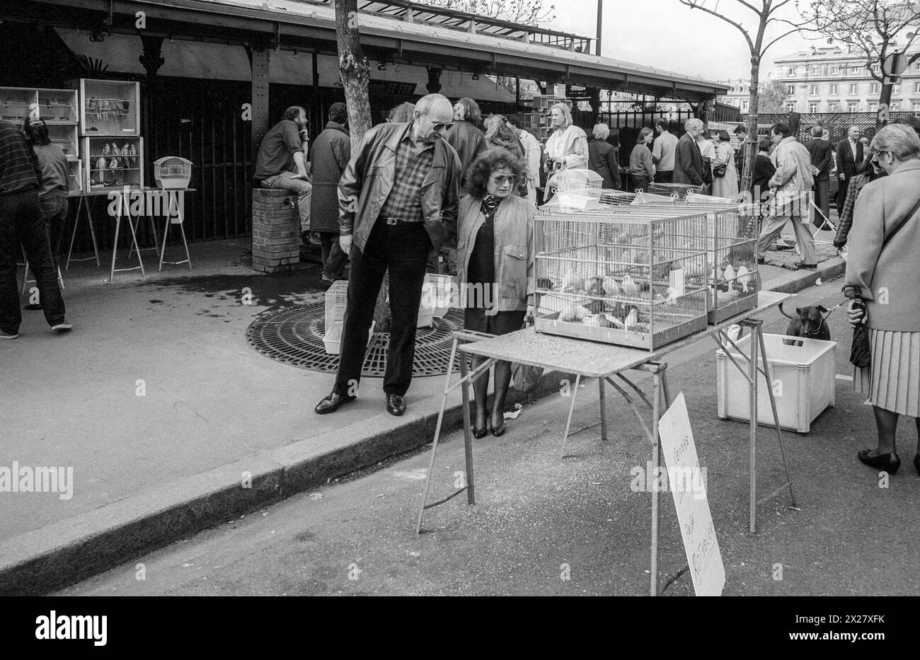 Image d'archive 1993 du marché aux oiseaux de Paris. Banque D'Images