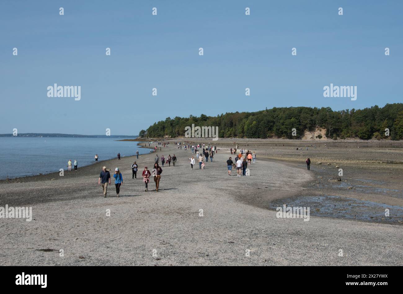 Touristes marchant à travers le banc de sable exposé reliant Bar Harbor à Bar Island à marée basse. Mount dessert Island, Maine, États-Unis Banque D'Images