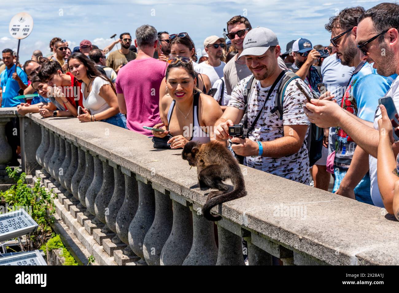 Touristes / visiteurs nourrissant les singes à la statue du Christ Rédempteur, Rio de Janeiro, Brésil. Banque D'Images