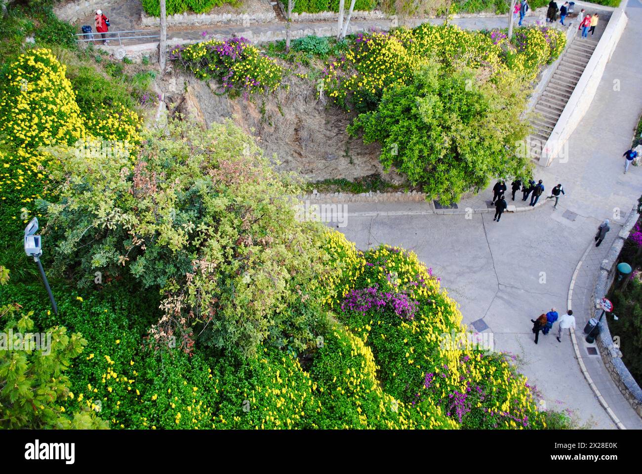 Vue de la Alcazaba de Malaga, Espagne Banque D'Images