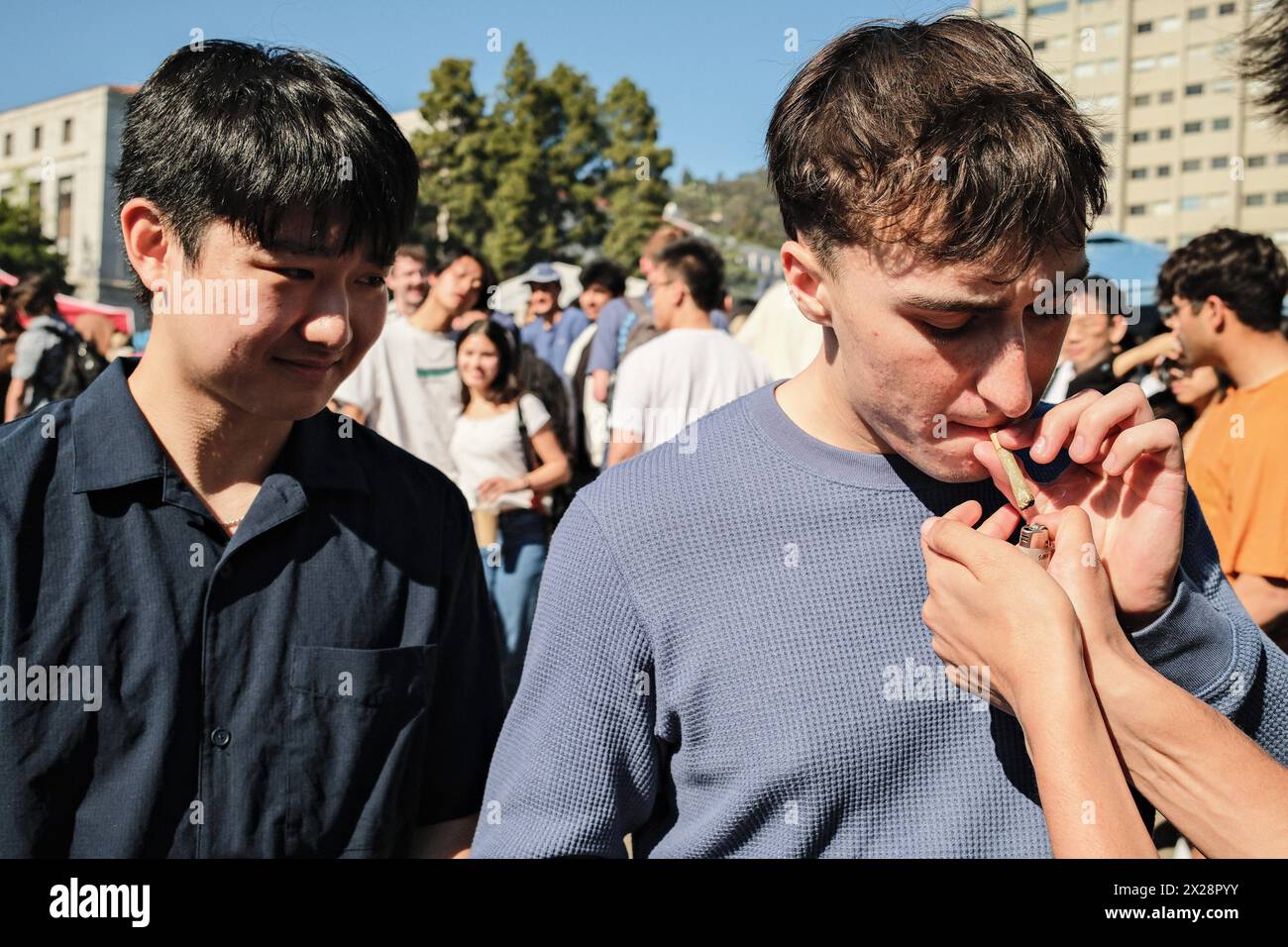 Berkeley, États-Unis. 20 avril 2024. Les gens fument à Memorial Glade dans UC Berkeley Campus. Le 20 avril est connu comme la Journée de la marijuana aux États-Unis d'Amérique et les gens célèbrent en fumant à 16h20 chaque année. Sur le campus de Berkeley de l'Université de Californie, des milliers de personnes se sont rassemblées pour célébrer la Journée de la marijuana. La plupart des gens qui célèbrent ici sont les étudiants de l'Université de Californie. Les gens ici comptent à rebours et fument ensemble à 16h20 le 20 avril. (Photo de Michael Ho Wai Lee/SOPA images/Sipa USA) crédit : Sipa USA/Alamy Live News Banque D'Images