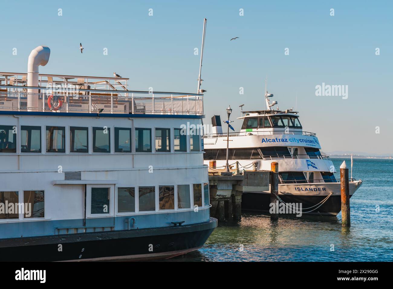 San Francisco, Californie, 8 avril 2024. Les ferries ont accosté à un quai avec la marque « Alcatraz City Cruises », sous un ciel bleu clair avec des mouettes volantes Banque D'Images