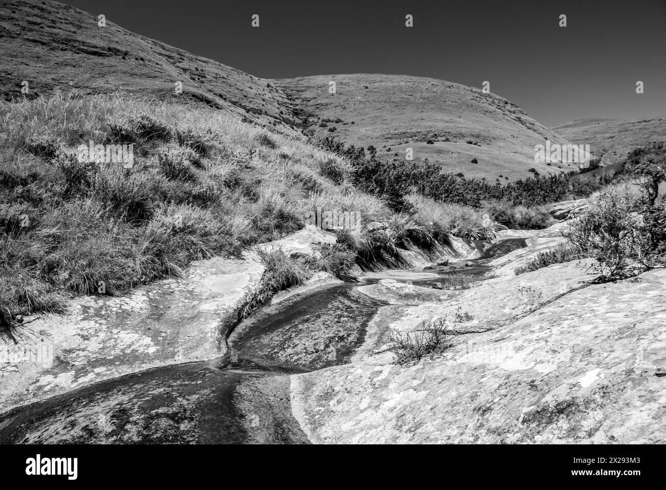 Un ruisseau de montagne qui coule en grès lissé à travers les prairies afro-alpines du Golden Gate Highlands National Park en noir et blanc Banque D'Images