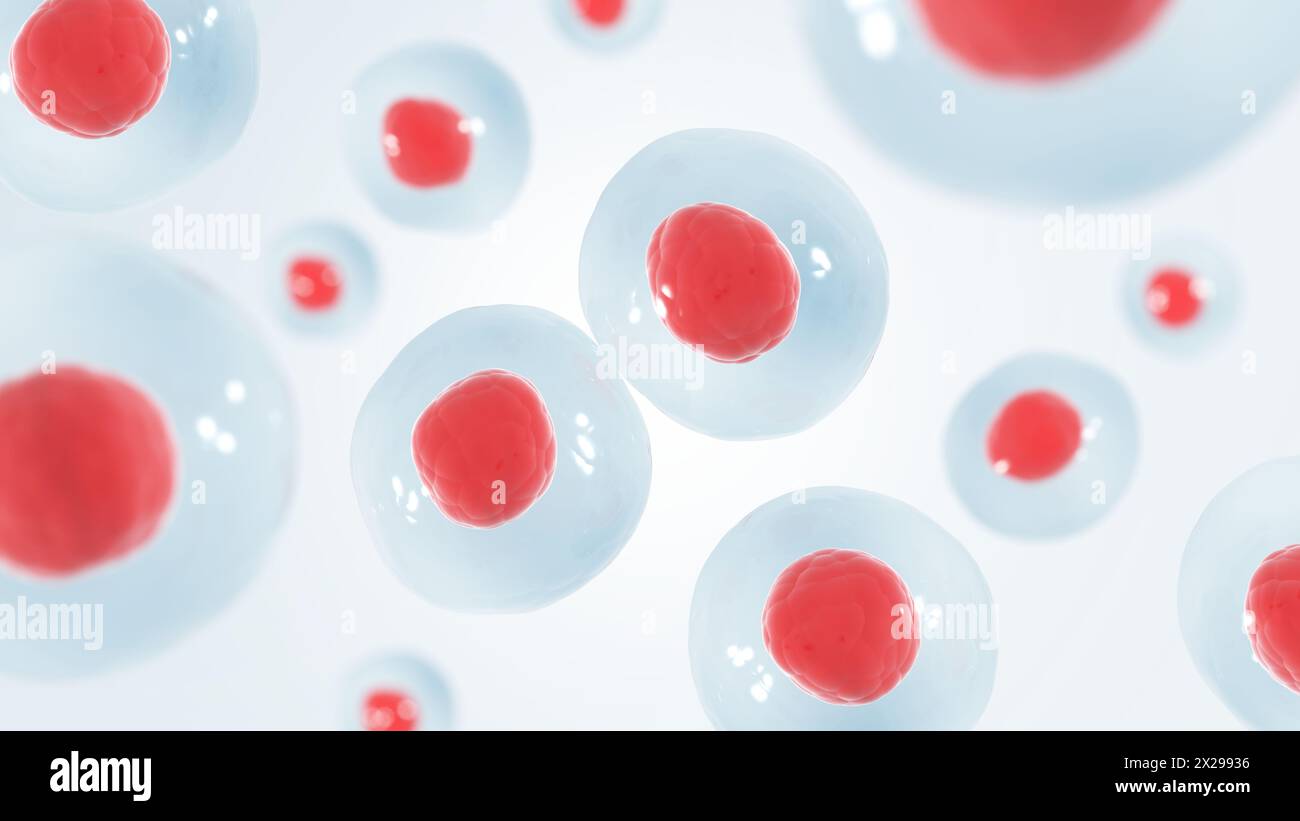 Cellules souches embryonnaires. Cellule humaine. 3d illustration. Banque D'Images