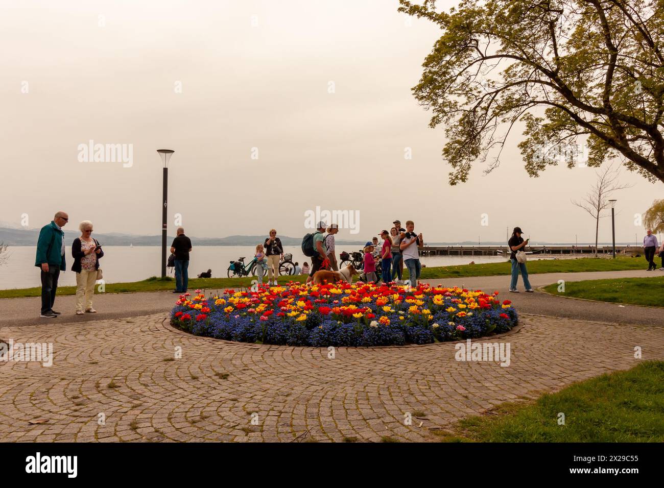 LANGENARGEN, ALLEMAGNE - 7 AVRIL 2024 : il y a beaucoup de fleurs sur le quai de Langenargen, personne ne passe indifféremment, beaucoup prennent des photos Banque D'Images