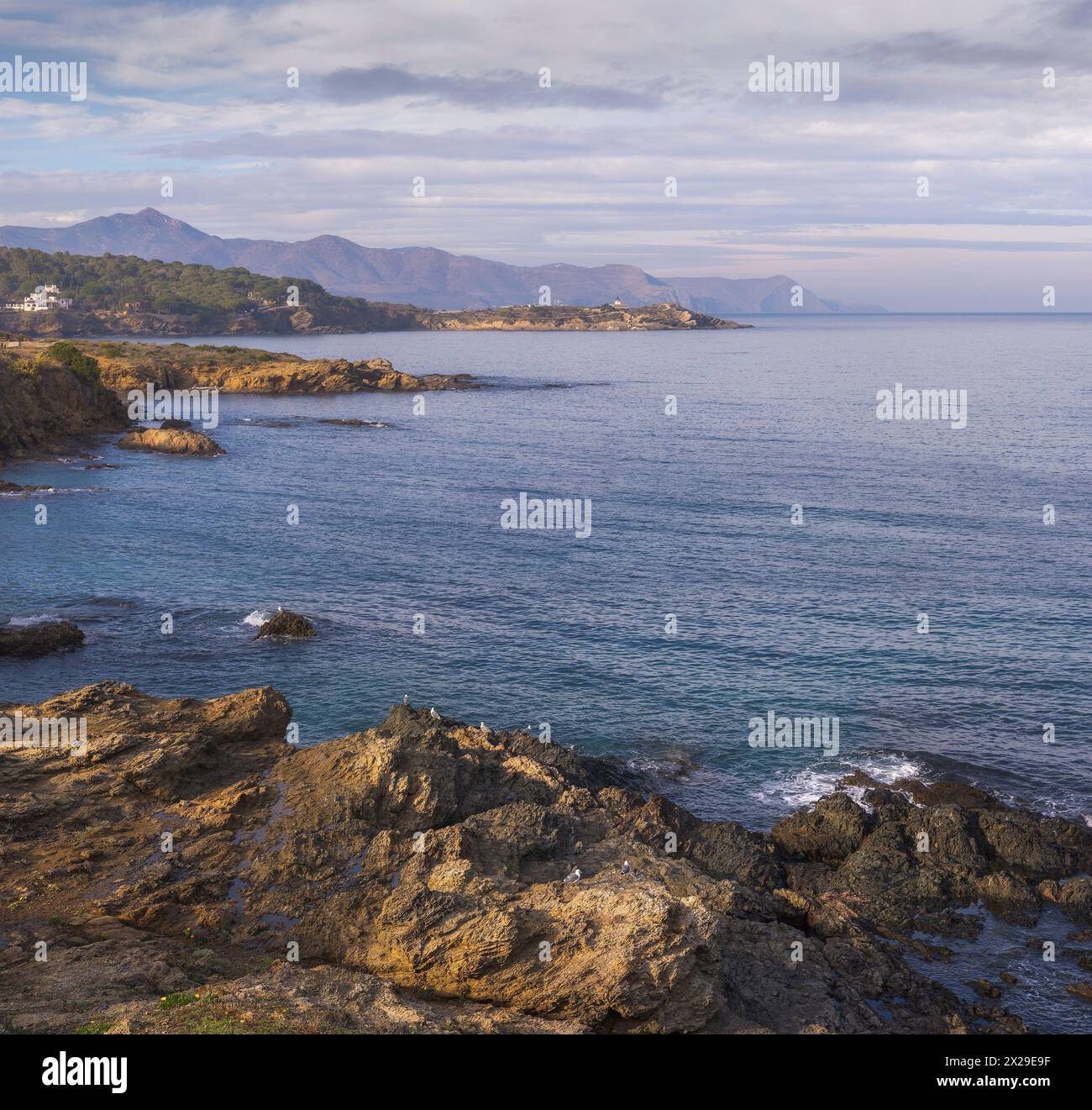 Magnifique paysage marin sur la Costa Brava au crépuscule, Llanca, Catalogne Banque D'Images