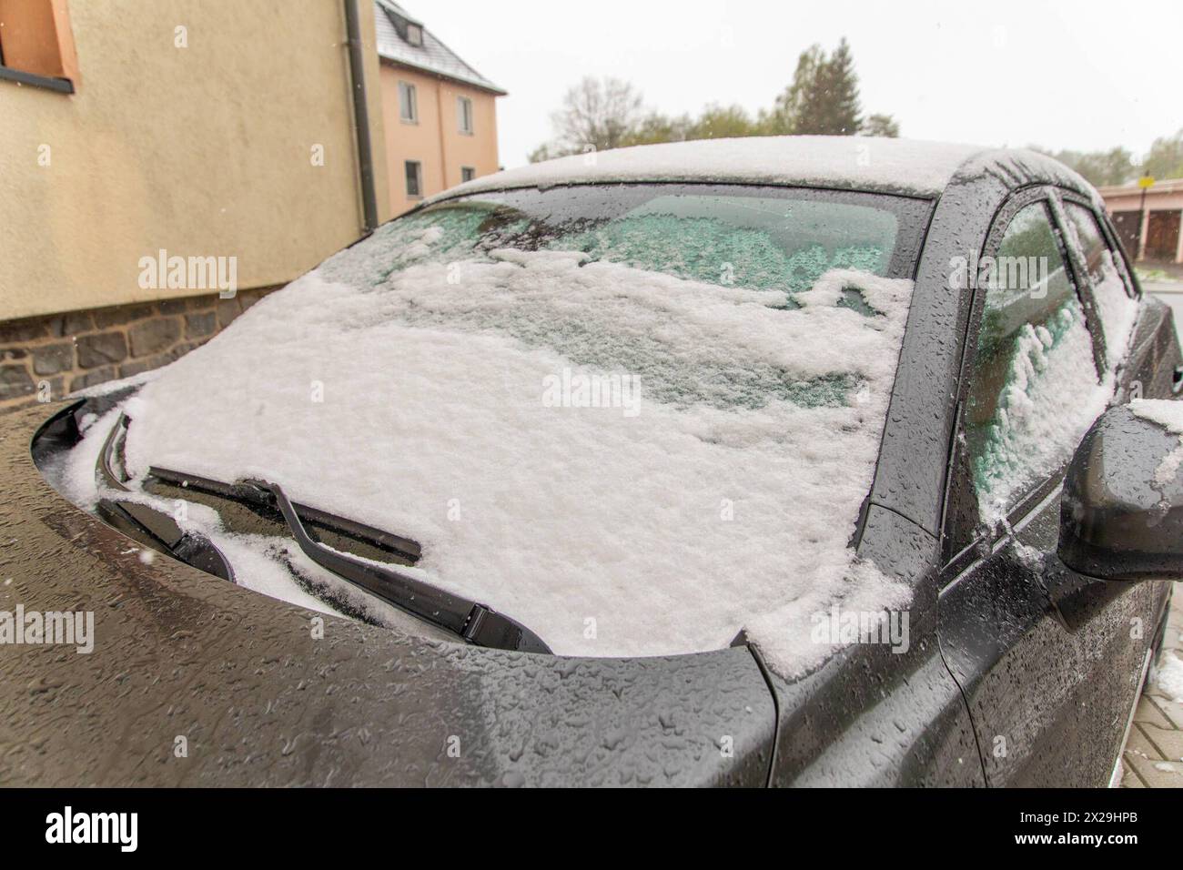 240420Wintereinbruch News ID : en 2024-04-20 Wintereinbruch im Erzgebirge Neuschnee sorgt für Verkehrsprobleme Geyer. Nasskaltes und kühles Wetter Hat das Erzgebirge nach wie vor fest im Griff. In der Nacht auf Samstag gingen die Niederschläge auch in tieferen Regionen, in Schnee über. Bis in Lagen auf 500 Höhenmeter bildete sich eine dünne Schneedecke. Leicht angezuckert zeigte sich am Morgen die Stadt Zwönitz 550 Meter über N.N.. Der Frost der letzten Tage, Hat BEI den SOmmerblühern sichtlich Spuren hinterlassen. Der Schnee bedeckte Autos und Landschaften. In noch höheren Regionen sorgte Banque D'Images