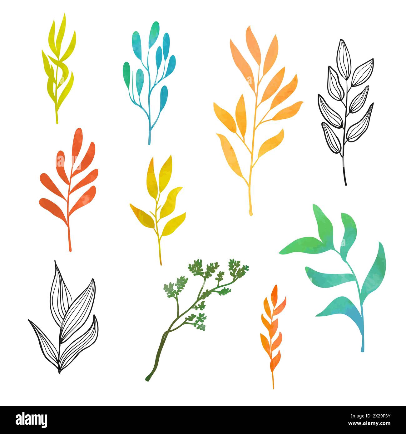 Branches et feuilles colorées. Ensemble d'éléments floraux. Illustration vectorielle d'aquarelle Illustration de Vecteur