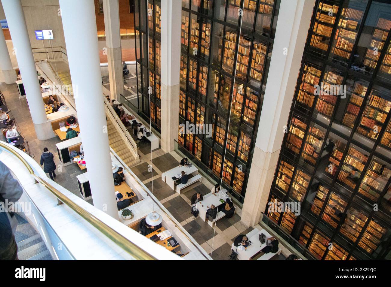 Profitez de la King's Library au sein de la British Library Banque D'Images