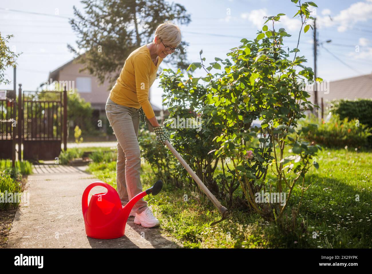 Heureuse femme âgée jardinant dans sa cour. Elle utilise une houe de jardin. Banque D'Images
