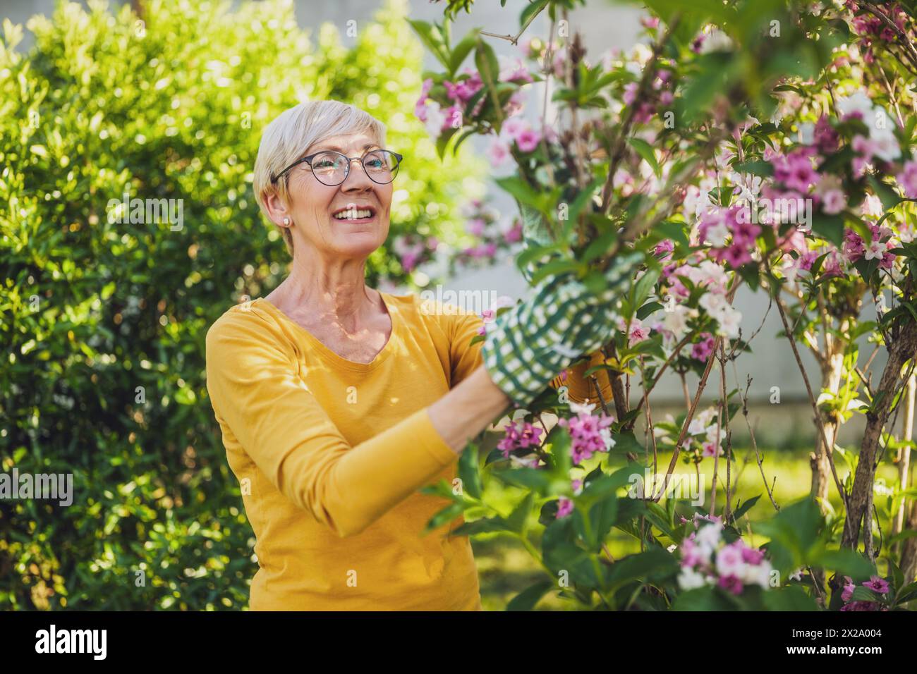 Heureuse femme âgée aime regarder les fleurs dans son jardin. Banque D'Images