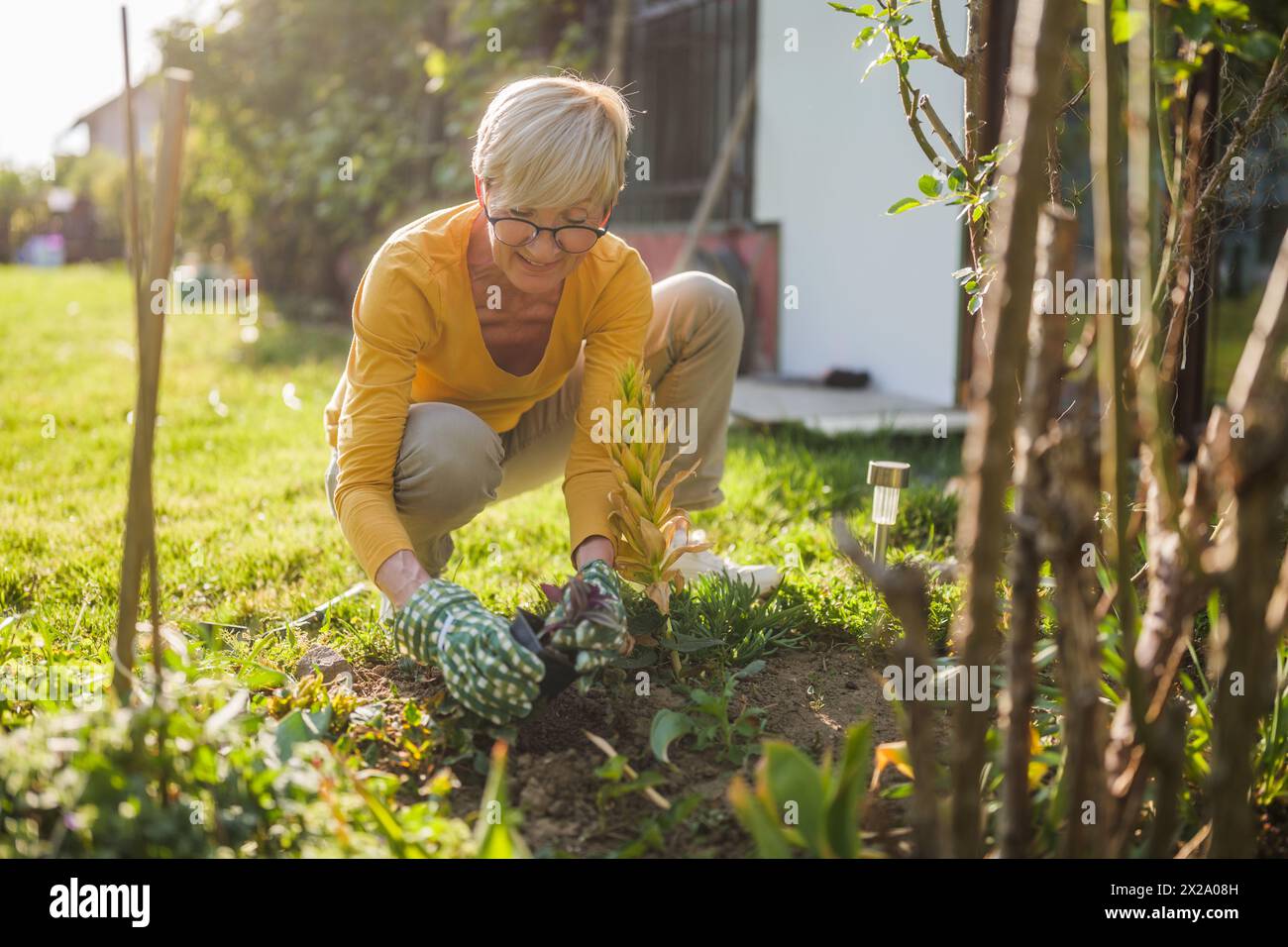 Heureuse femme âgée jardinant dans sa cour. Elle plante une fleur. Banque D'Images