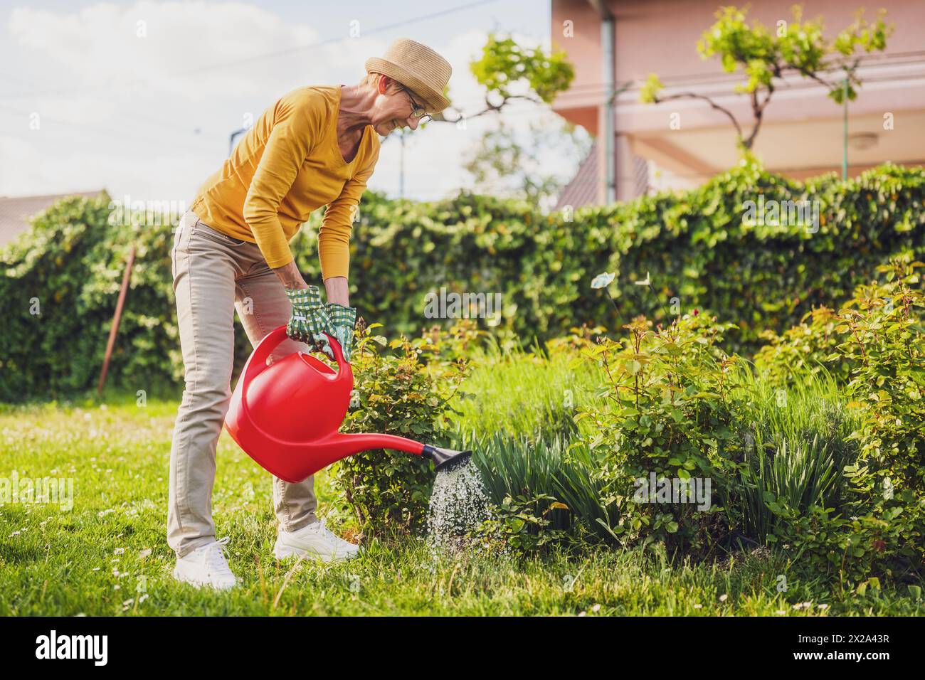 Femme âgée heureuse aime arroser les plantes dans son jardin. Banque D'Images