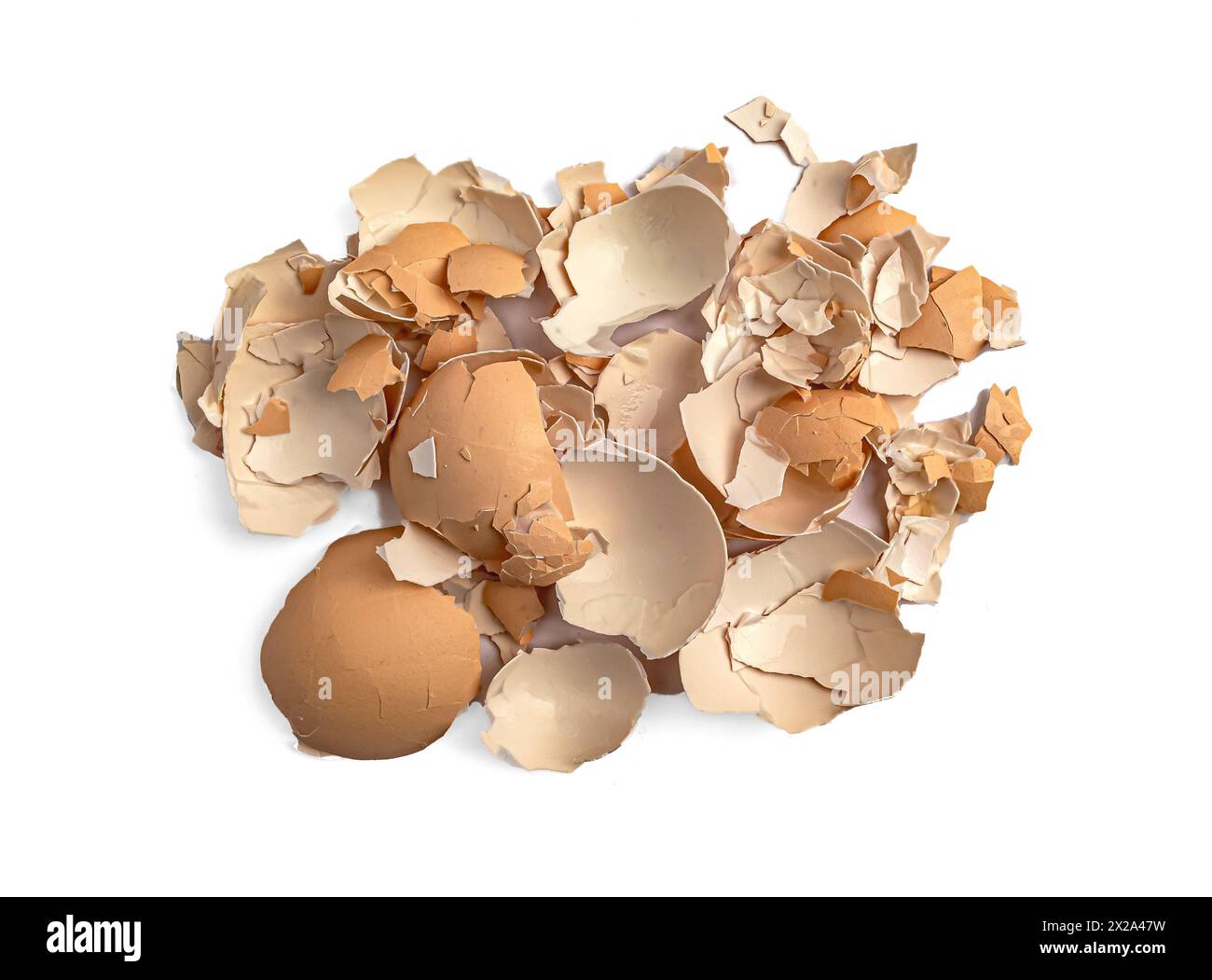 Coquille d'oeuf écrasée, supplément de calcium, coquilles d'oeufs fissurées coquilles d'oeufs cassées sur fond blanc vue de dessus. Banque D'Images