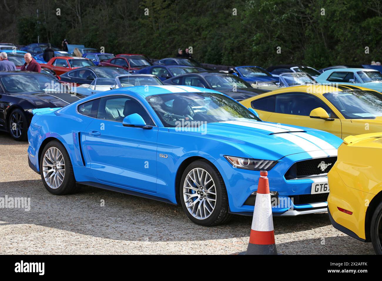 Ford Mustang GT 5,0 V8 (2017), Mustang 60, 20 avril 2024, Brooklands Museum, Weybridge, Surrey, Angleterre, Royaume-Uni, Europe Banque D'Images