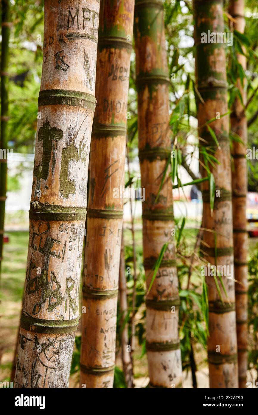 Parque de los Pies Descalzos, Medellin, Antioquia, Colombie, Amérique du Sud Banque D'Images