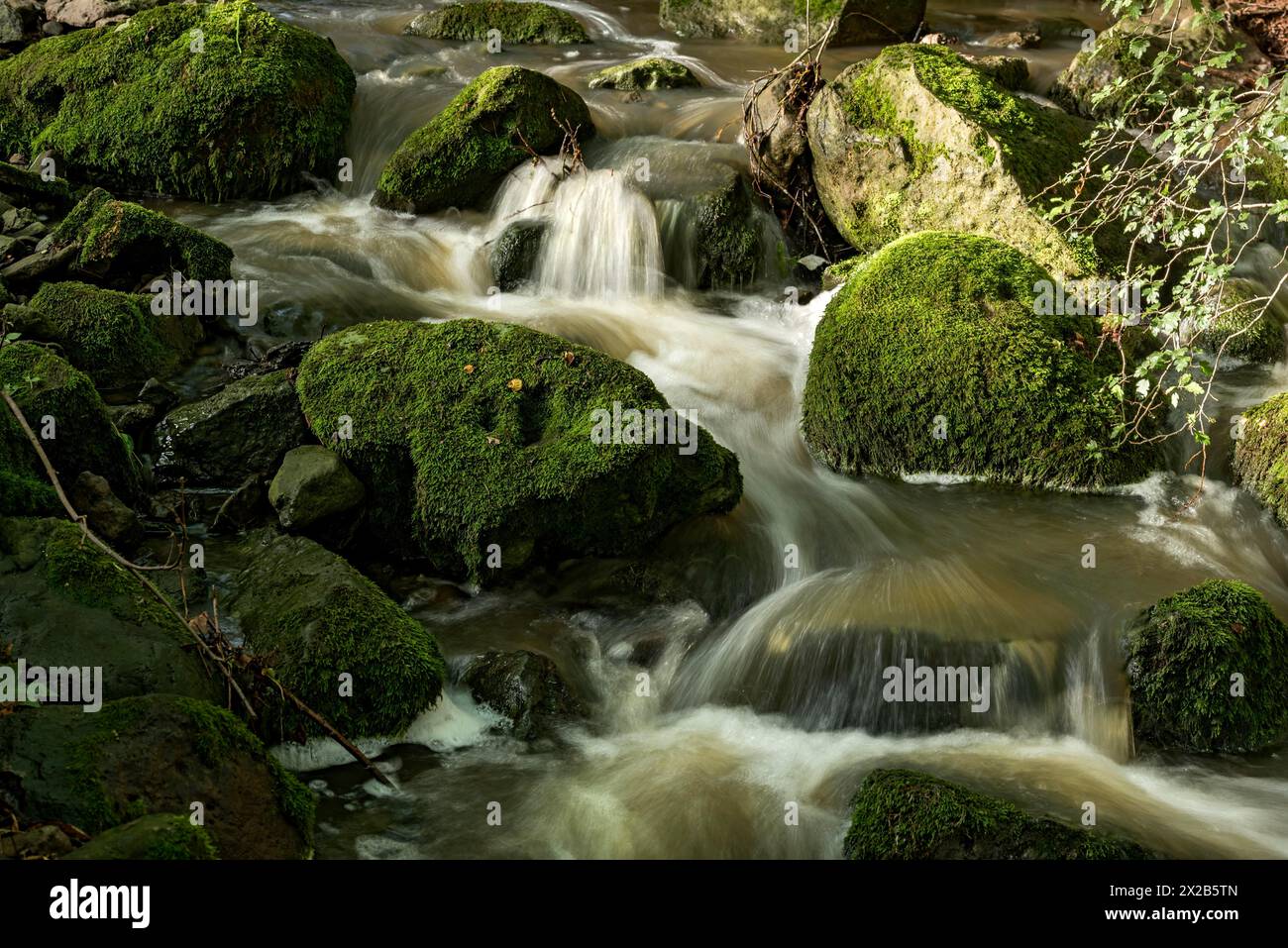 Ruisseau de montagne dans la forêt avec des roches de basalte moussues, blocs de basalte dans le lit du ruisseau, volcan tertiaire, eau qui coule, flou de mouvement, Krummbach Banque D'Images