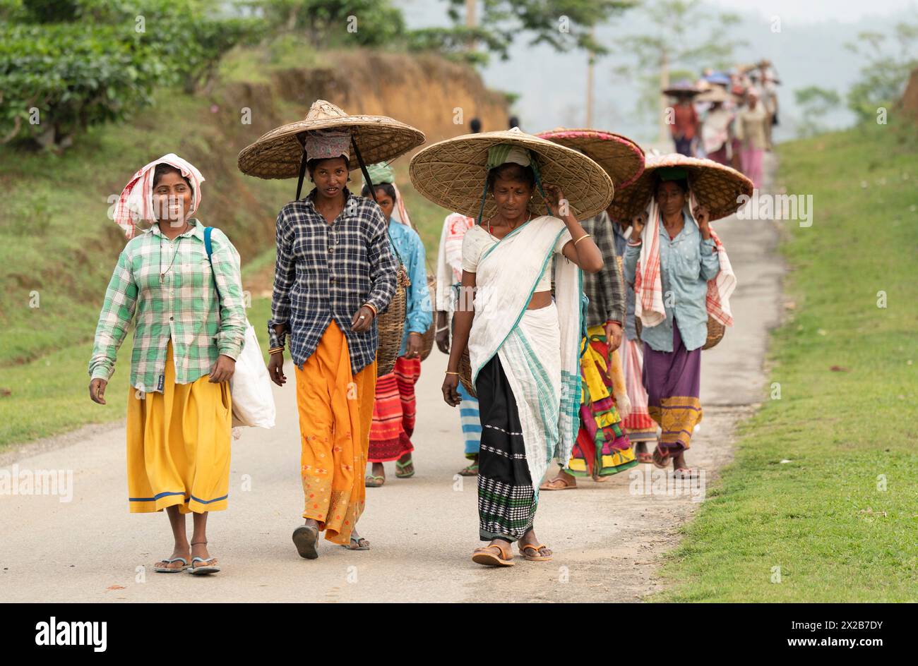 20 avril 2024 : Bokakhat, Inde. 20 avril 2024. Les femmes cueilleuses de thé reviennent après avoir cueilli des feuilles de thé dans un domaine de thé, à Bokakhat, Assam, Inde. L'industrie du thé en Assam est une partie importante et intégrale de la production mondiale de thé et un acteur majeur dans l'économie indienne. Assam, situé dans la partie nord-est de l'Inde, est l'une des plus grandes régions productrices de thé du monde, connue en particulier pour son thé Assam, un thé noir connu pour son corps, sa vigueur, sa saveur maltée et sa couleur forte et lumineuse. (Crédit image : © David Talukdar/ZUMA Press Wire) USAGE ÉDITORIAL SEULEMENT! Non destiné à UN USAGE commercial ! Banque D'Images