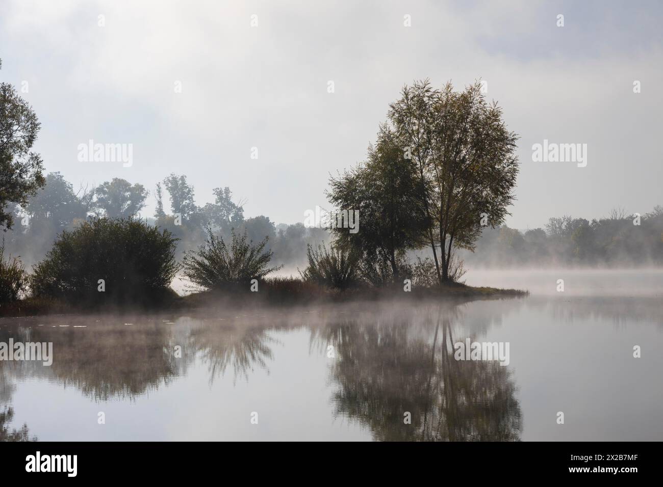 Étang de pêche de Kressler dans la brume du matin, Arnstadt, Thuringe, Allemagne Banque D'Images