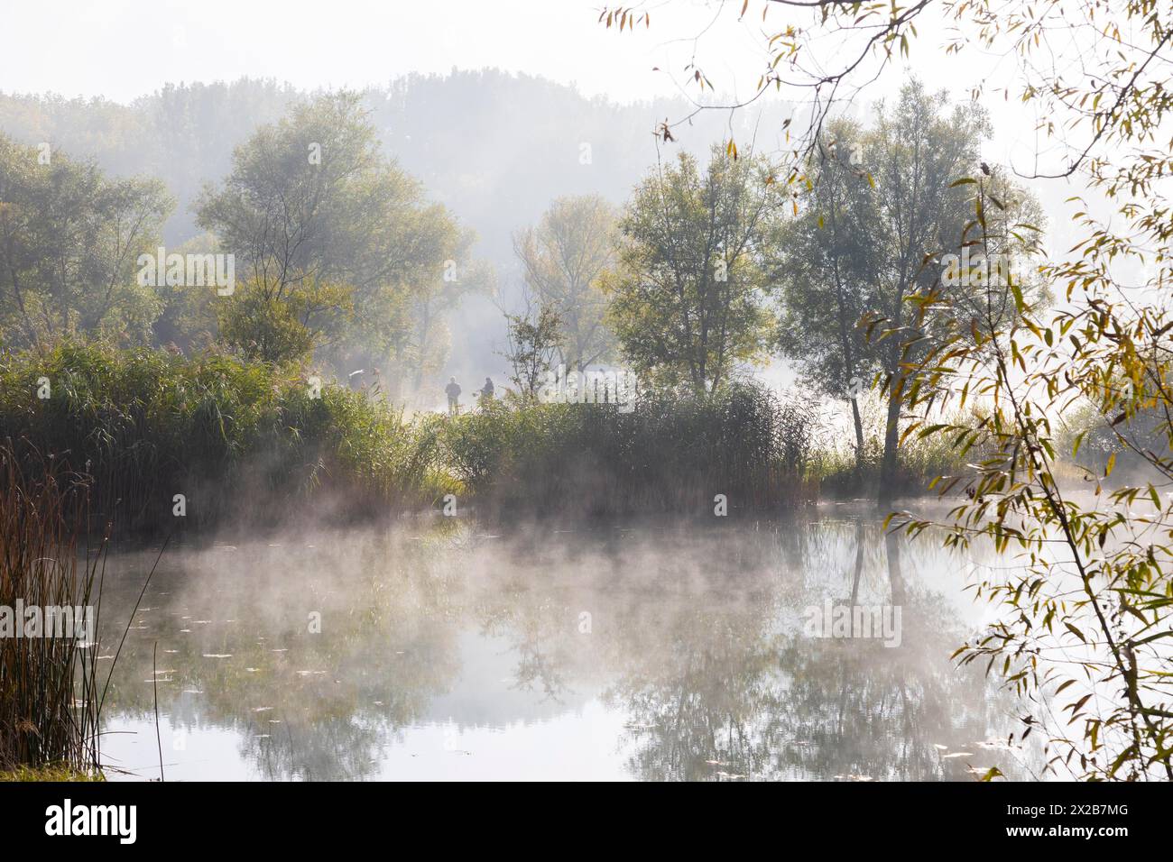 Étang de pêche de Kressler dans la brume du matin, Arnstadt, Thuringe, Allemagne Banque D'Images