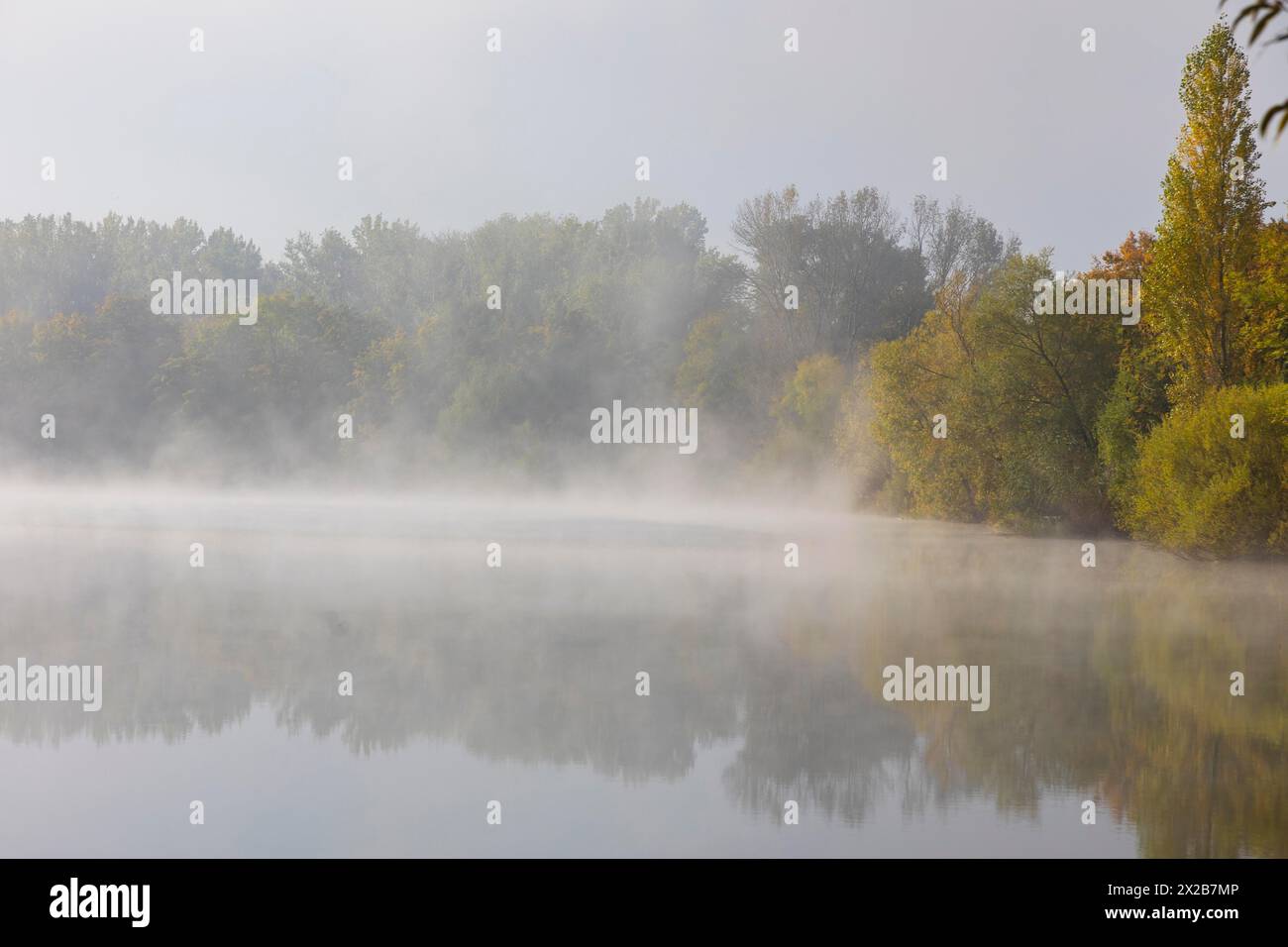 Étang de pêche de Kressler dans la brume du matin, Arnstadt, Thuringe, Allemagne Banque D'Images
