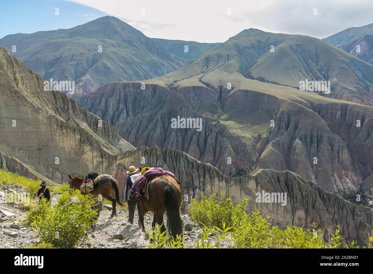 groupe de latino-américains marchant avec leurs robes traditionnelles et leur âne tout en descendant une montagne dans les andes Banque D'Images