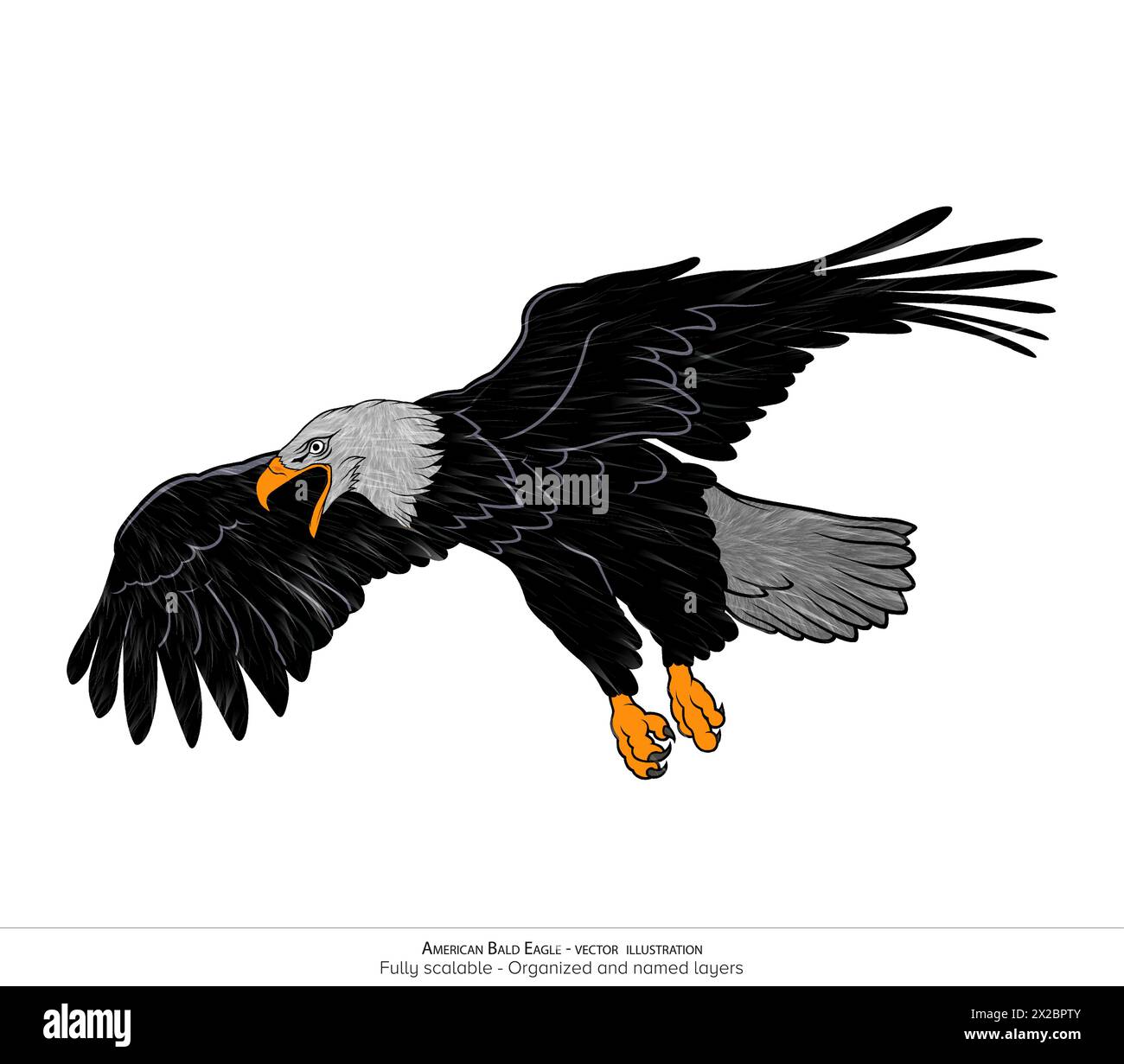 Réaliste American Bald Eagle Vector illustration - superposé et organisé avec de la fourrure détaillée Illustration de Vecteur