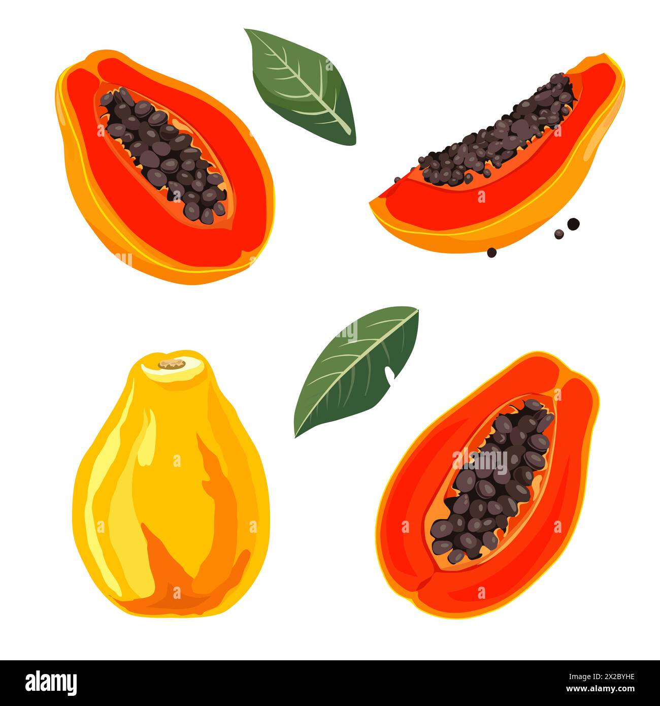 Ensemble de papaye rouge jaune juteuse et saine et de tranches isolées sur fond blanc. Illustration vectorielle de fruits tranchés dans un style plat. Clipart d'été pour Illustration de Vecteur