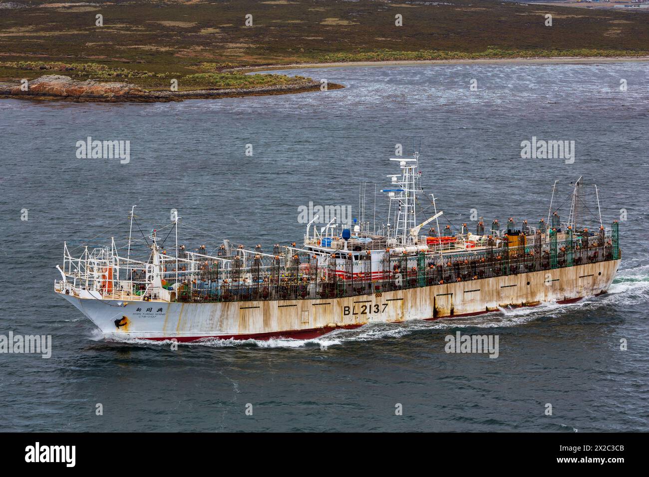 Bateau taïwanais de pêche au calmar, Port Stanley, îles Falkland, Royaume-Uni Banque D'Images