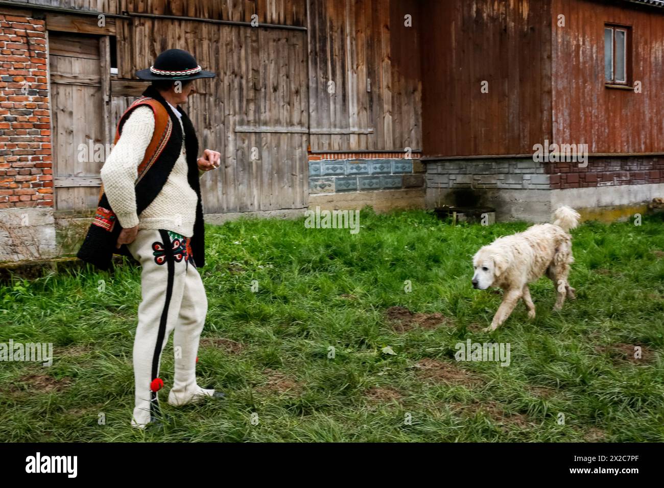 Un berger observe son chien de berger alors que la saison de pâturage commence par le folklore traditionnel et les célébrations religieuses, appelées localement Redyk, dans les montagnes des Tatras. Redyk commence traditionnellement vers le 23 avril, une époque où les bergers, localement appelés Baca, prennent des troupeaux de moutons des villages en montée, loin de la civilisation pour la saison de pâturage, qui dure environ six mois. Le début de la saison est une période festive pour les montagnards de Tatra. Et cette partie de Karpaty comme élevage de moutons historiquement est une source majeure de revenus pour la région. (Photo Dominika Zarzycka/SOPA images/Sipa USA) Banque D'Images