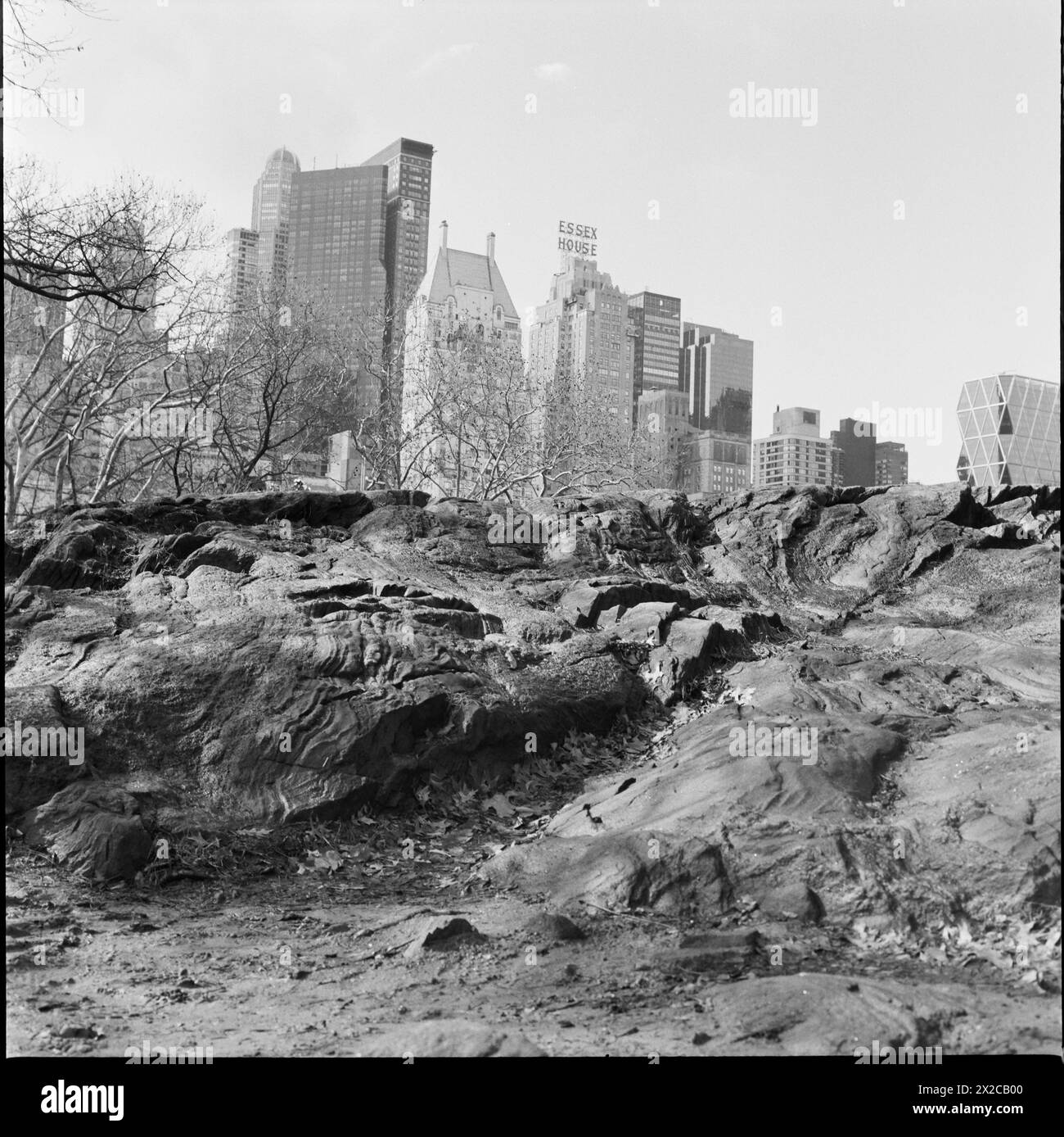 Vue sur Central Park à New York City.f Banque D'Images