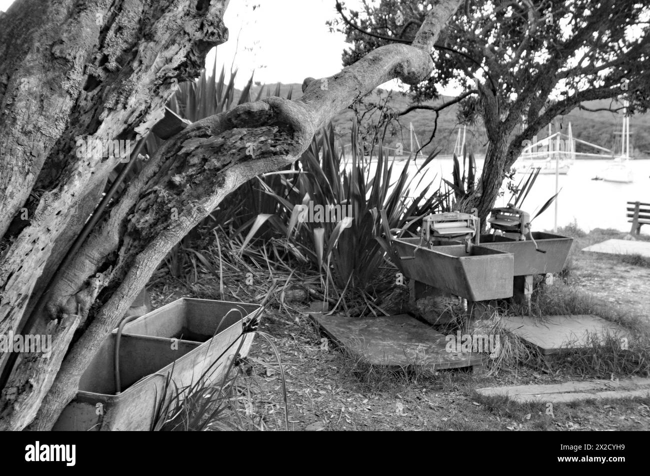 Smokehouse Bay Great Barrier Island Hauraki Gulf New Zealand Banque D'Images