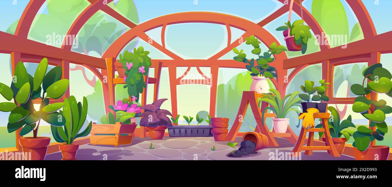 Intérieur de serre avec des plantes. Illustration vectorielle de dessins animés de fleurs fleurissant dans des seaux d'argile, herbe verte dans un pot de fleurs, pièce avec des murs de verre et une porte, échelle en bois et tabouret, passe-temps de jardinage Illustration de Vecteur