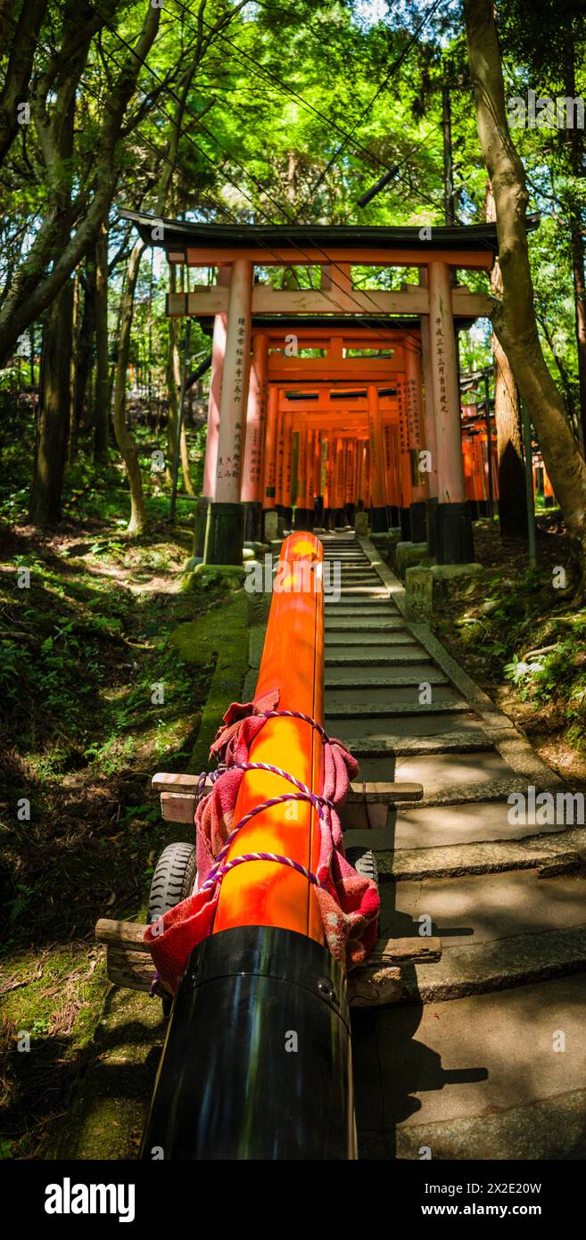 Remplacement d'une porte torii à Fushimi Inari Taisha, Fushimi-ku, Kyoto, préfecture de Kyoto, Japon Banque D'Images